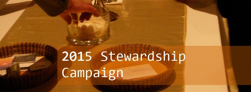 Stewardship Campaign