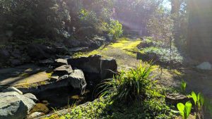 Early morning mist in the Memorial Garden at Church of the Redeemer Early morning mist in the Memorial Garden at Church of the Redeemer