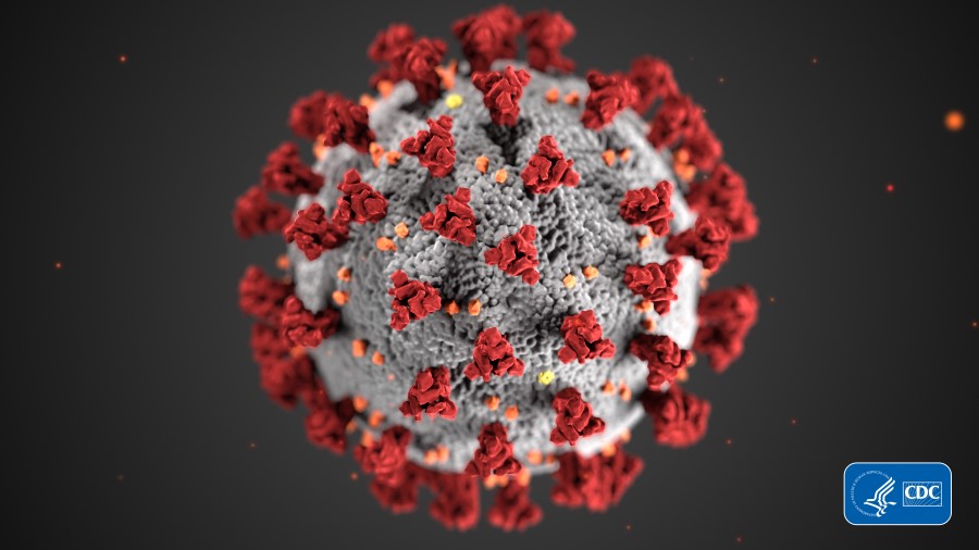 This illustration, created at the Centers for Disease Control and Prevention (CDC), reveals ultrastructural morphology exhibited by coronaviruses (causes COVID-19). Note the spikes that adorn the outer surface of the virus, which impart the look of a corona surrounding the virion, when viewed electron microscopically.