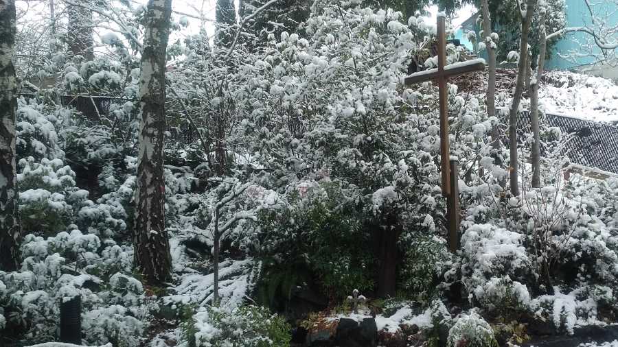 Snow in the Memorial Garden at Church of the Redeemer