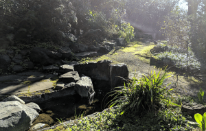 Mist over the waters in the Memorial Garder
