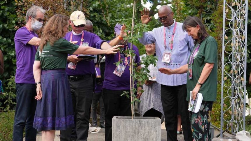 Bishops attending the Lambeth Conference bless a tree in the newly launched Communion Forest initiative, part of the bishops’ focus on the environment and climate change during a trip Aug. 3 to London and Lambeth Palace. Among the bishops shown are California Bishop Marc Andrus, in hat, and Central America Archbishop Julio Murray, to the right of the tree. Photo: Lambeth Conference.