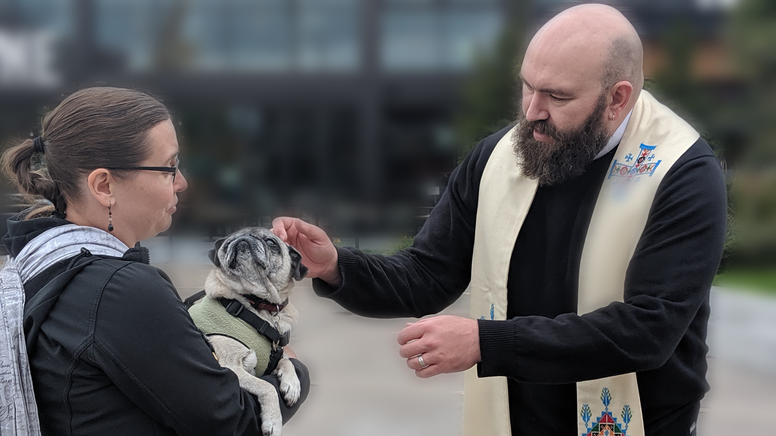 Father Jed about to bless a pet at Kenmore Town Square.