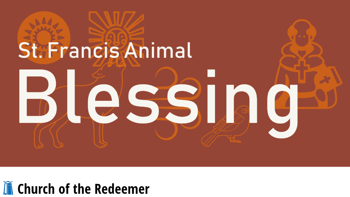 Saint Francis Animal Blessing