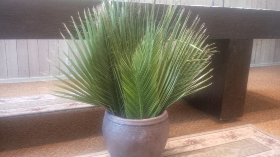 Palm fronds before the main altar for Palm Sunday in April 2014.