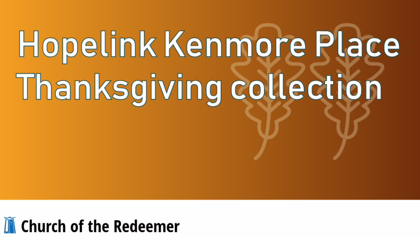 Hopelink Kenmore Place Thanksgiving collection
